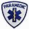 Paramedic Badge