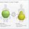 Pear vs Apple Body