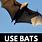 Pest Control Bats