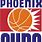 Phoenix Suns Founded