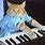Piano Cat Meme