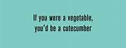 Pick Up Lines Funny and Cheesy