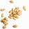 Pine Nuts PNG
