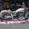 Pink Harley-Davidson Motorcycle