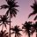 Pink Palm Trees