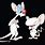 Pinky and the Brain Cartoon Characters