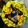 Pittsburgh Steelers Flower Arrangements