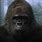 Planet of the Apes Gorilla