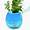 Plant Humidifier