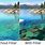 Polarizing Filter Before and After