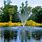 Pond Water Fountains Outdoor