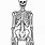 Printable Life-Size Human Skeleton