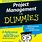 Project Management for Dummies PDF