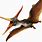 Pteranodon Crest