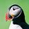 Puffin National Geographic