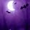 Purple Bat Background