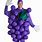 Purple Grape Costume