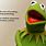 Quotes by Kermit the Frog