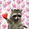 Raccoon Heart Meme