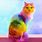 Rainbow Fur Cat