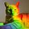 Rainbow Kitty Cat