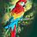 Rainforest Bird Poster