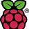 Raspberry Pi Symbol