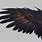 Raven Wings Art