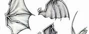 Realistic Bat Wings Drawing