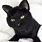 Realistic Black Cat Plush