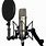 Recording Microphone for Singing