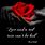 Red Rose Love Quotes