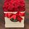Red Roses Gift