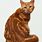 Red Tabby Cat Breed