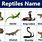 Reptiles and Their Names
