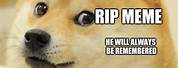 Rip Dog Meme