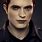Robert Pattinson On Twilight