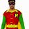 Robin From Batman Costume