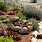 Rock Garden with Water Feature