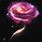 Rose Galaxy Hubble