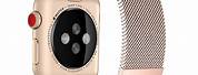 Rose Gold Stainless Steel Apple Watch