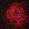 Rosette Nebula Background