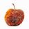 Rotten Apple PNG