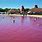 Roze Jezero