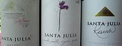 SANTA Julia Argentina White Wine
