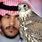 Saudi Arabia Falcon