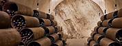 Saxum Wine Caves