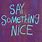 Saying Nice Things