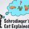 Schrodinger's Cat For Dummies