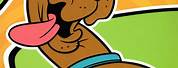 Scooby Doo Coloring Activity Books
